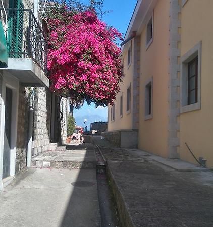 Nataliia Twister Apartment Budva Eksteriør bilde